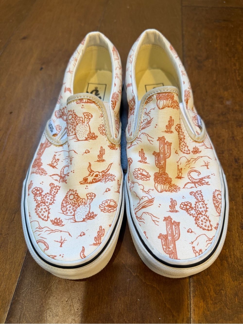 Vans Women’s Slip-On Sneakers Desert Cactus Skull Cream Burnt Orange M 8 W 9.5